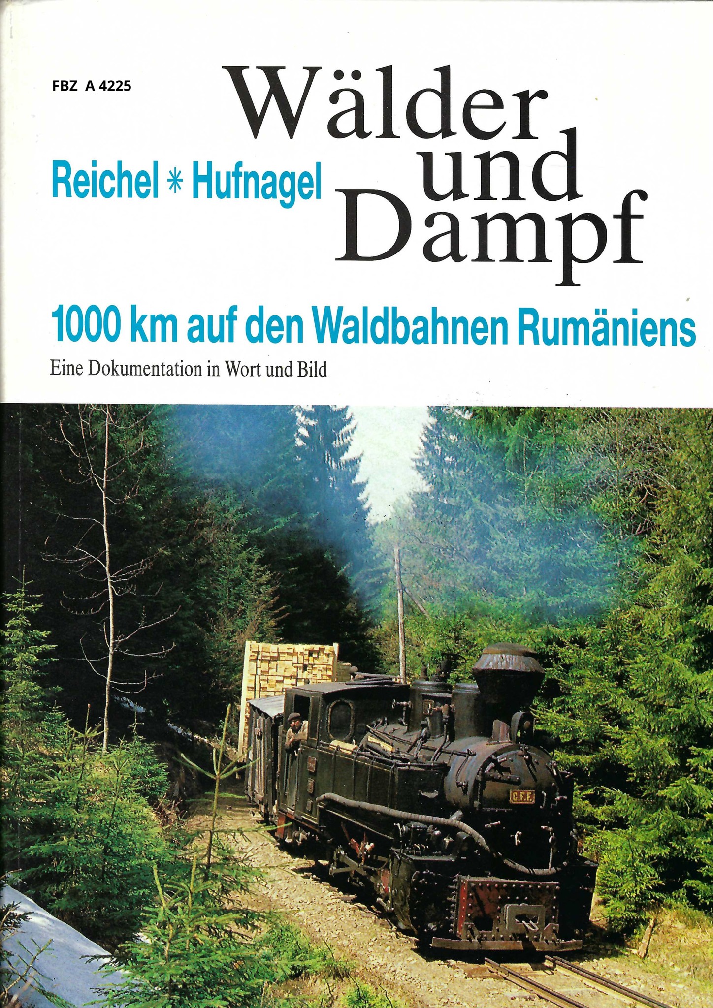 Bild von Wälder und Dampf